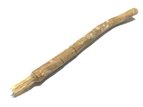 Les bienfaits surprenants du siwak pour des dents saines